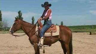 How To Ride Your Horse With Unshakable Confidence [upl. by Cinemod]