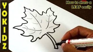 How to draw a LEAF easily [upl. by Tini10]