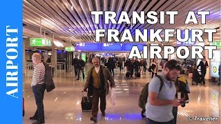 TRANSIT WALK AT FRANKFURT Airport FRA Terminal 1  Connection Flight Transfer Arriving amp Departing [upl. by Eadith]