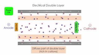 Capillary Electrophoresis [upl. by Yerbua]