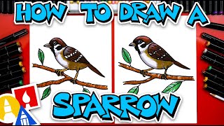 How To Draw A Sparrow [upl. by Edana885]