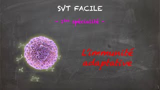 COURS DE TERMINALE SPÉCIALITÉ SVT  CHAP1 STABILITÉ GÉNÉTIQUE ET ÉVOLUTION CLONALE  Bio Logique [upl. by Harlen566]