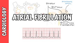 Atrial Fibrillation Overview  ECG types pathophysiology treatment complications [upl. by Aifoz]