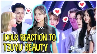 Kpop Idols Reaction To TWICE Tzuyu Beauty [upl. by Acirahs]