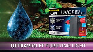 Fluval UVC InLine Clarifier [upl. by Nnylg]