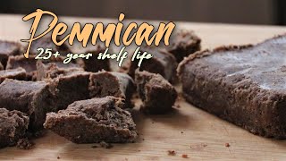 How to make Low Tech Pemmican  Survival food that lasts over 25 years [upl. by Ayhtin]