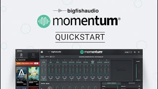 Momentum  QuickStart [upl. by Ilenay]