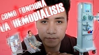 ¿COMO FUNCIONA LA HEMODIALISIS [upl. by Idieh]