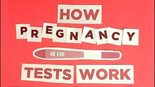 Pregnancy 101 How pregnancy tests work [upl. by Gibert]