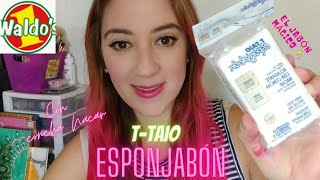 TTAiO ESPONJABÓN  JABÓN  ESPONJA  ACLARANTE CON CONCHA NÁCAREL JABON MAGICO✨ [upl. by Aikkin]