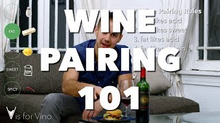 Wine Pairing 101  Super Easy Food and Wine Pairing from V is for Vino [upl. by Rafe362]