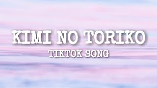 Kimi no toriko  Tiktok Song Lyrics quotsummertimequot [upl. by Nylyak]