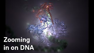 ICR Researchers use CryoElectron Microscopy to zoom in on DNA code being read in cells [upl. by Emia]