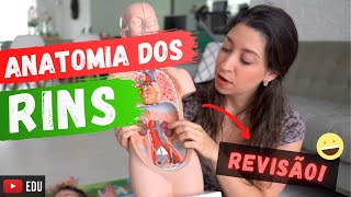 Anatomia dos RINS Revisão [upl. by Wachter]