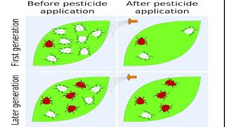 Biopesticide [upl. by Dnalram681]