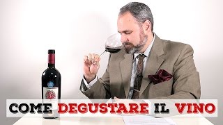 Come si degusta il VINO  Tutorial [upl. by Asirehc]