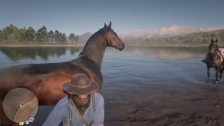 RDR2 TIPS TRICKS  How To KeeP BraitHwaite Brand On HorSes [upl. by Obidiah]