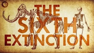 Are We Living In the Sixth Extinction [upl. by Atiuqehs]