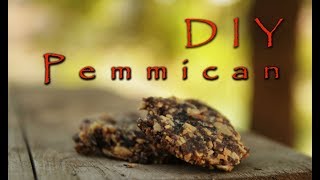 How to make Pemmican  the original DIY survival food [upl. by Tattan258]